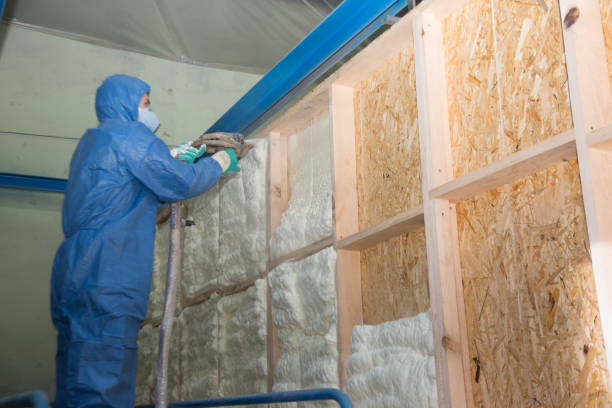 Best Insulation Removal  in Newfield, NJ